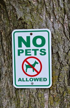 No pets allowed sign on tree in the park.