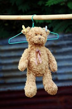 Teddy bear doll soft on hanging to dry clothesline sunbathing in sunlight (selective focus)