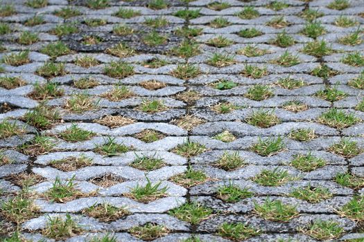 Concrete floor, Texture Decoration brick block on garden walkway, stone walk and pebble in Japanese park, green moss on ground, Cement footpath on ground floor park compose dry leaves fall green grass