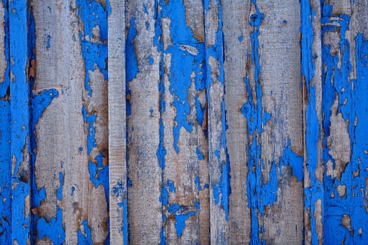 Blue background. Blue wood texture. Old wood texture.