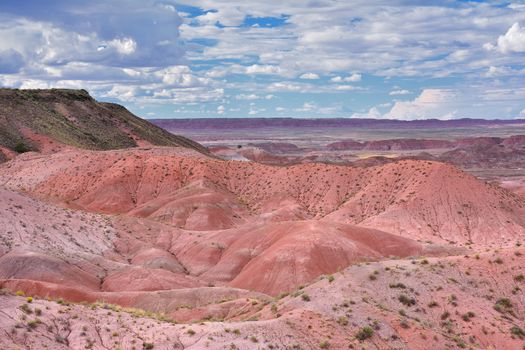 Nature Painted Desert, Petrified Forest National Park, Arizona, USA