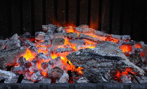 Close-up of firewoods flaming