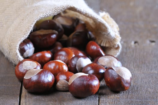Stack of delicious chestnut scattered on table from textile bag in close-up