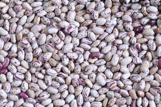 Close-up of kidney beans. From above