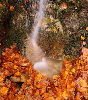 Stream of water flowing down on moss stone with autumnal orange leaves on ground