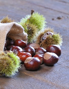 Stack of delicious chestnut scattered on table from textile bag in close-up