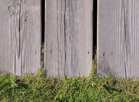 View on bright green grass under wooden fence
