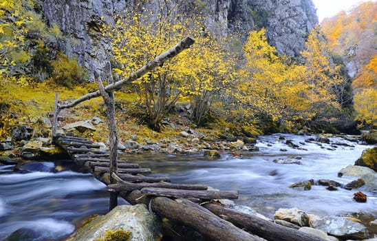 Autumnal landscape on bridge over mountain river in forest