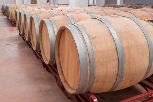 American Oak Barrels aging on a modern Winery