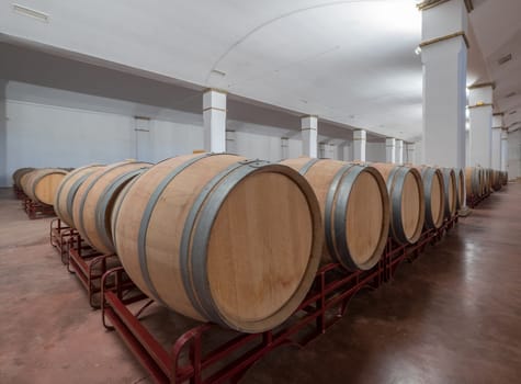 American Oak Barrels aging on a modern Winery