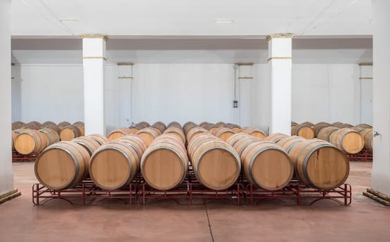 American Oak Barrels aging on a modern Winery