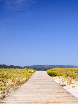 Wooden walkway to the beach one summer day with blue sky