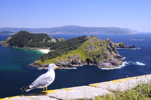 Cies Islands, National Park Maritime-Terrestrial of the Atlantic Islands of Galicia in Spain.