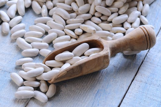 White Beans on the kitchen table for Asturian bean stew