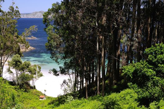 Cies Islands, National Park Maritime-Terrestrial of the Atlantic Islands of Galicia in Spain.