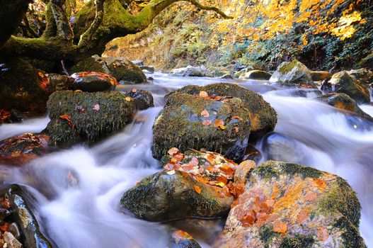 Bright waterscape of fast rocky river. Autumnal scenery
