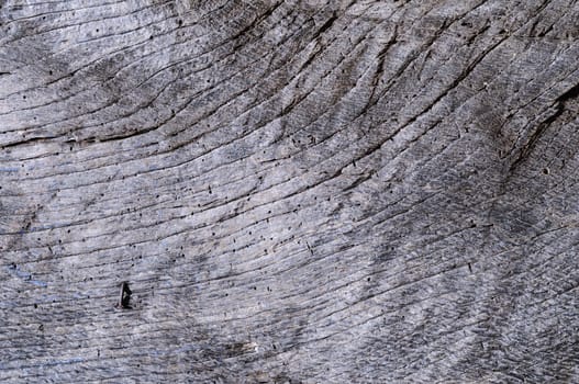 Background texture of an old wooden door.
