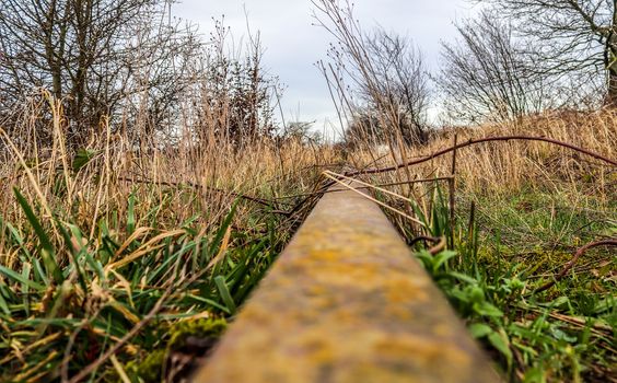 Multiple railroad tracks with junctions at a railway station in a perspective view