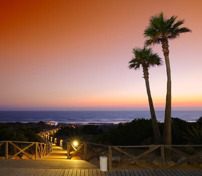 Picturesque view of seascape in the evening. Nobody, sunset. Palm trees