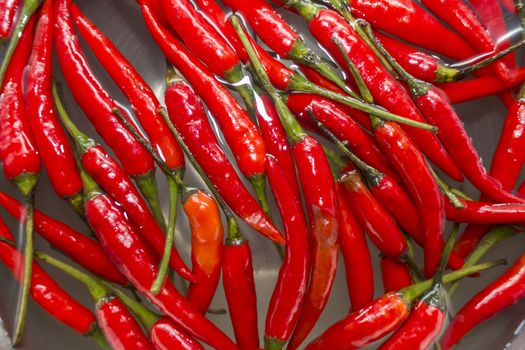 Close up red chili pepper on water