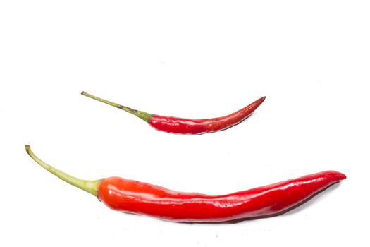 Small and big red chilli pepper on white background,Two red chilli pepper on white,food background