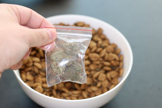 dog kibble and marijuana stock image.