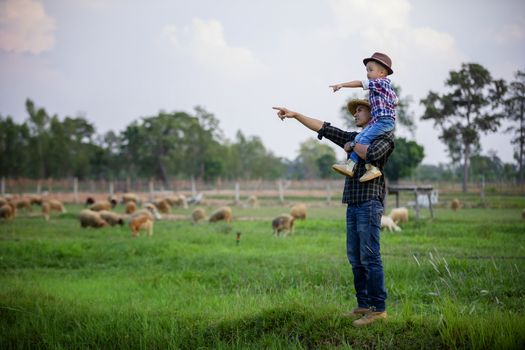 Father and son stood and watched the sheep on their farm and pointed their hands toward the sheep happily.