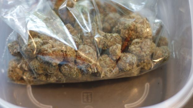 Looking down at a zipper bag full of marijuana on its side spilling buds out the open top isolated with a white background.
