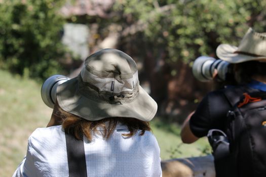 August 24 2019, Toronto Canada: Editorial photograph of Safari tourist taking pictures of wild animals.