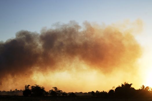 Many black smoke rise in the sky at sunset. The concept of weather is pollution.