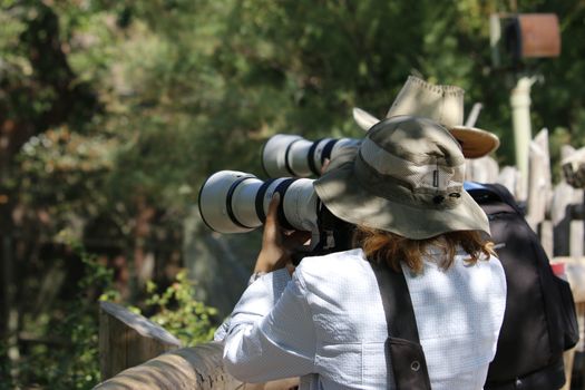 August 24 2019, Toronto Canada: Editorial photograph of Safari tourist taking pictures of wild animals.