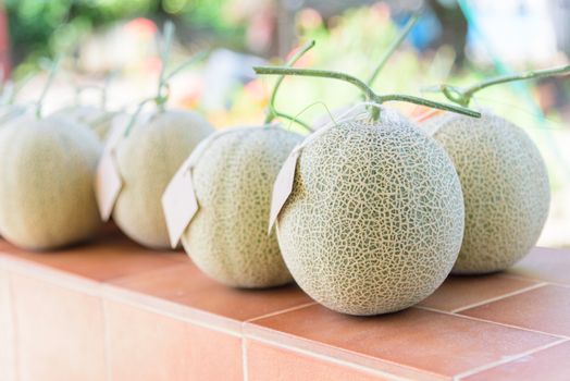 Fresh melon on the table