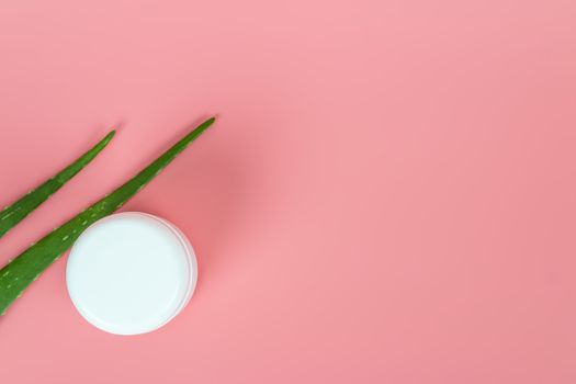 Fresh aloe vera leaves and white plastic cosmetic jar on pastel pink background for Health and beauty products.