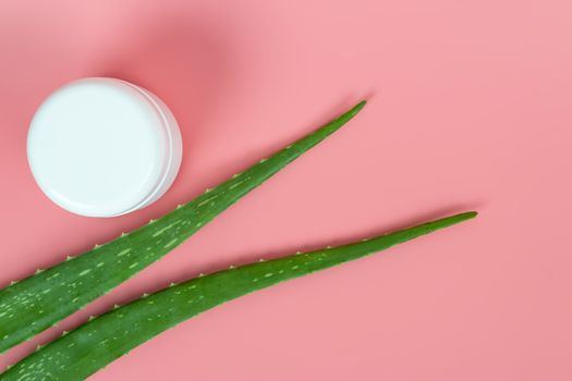 Fresh aloe vera leaves and white plastic cosmetic jar on pastel pink background for Health and beauty products.