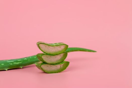 Fresh aloe vera leaves and slices on pastel pink background for Health and beauty products.