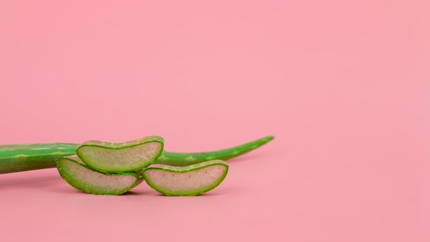 Fresh aloe vera leaves and slices on pastel pink background for Health and beauty products.