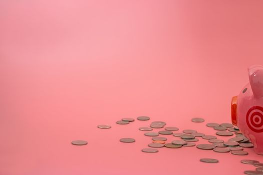 Pink piggy bank on pastel pink background, Financial concepts