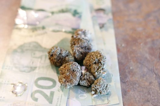 marijuana and canadian twenty dollar bills. Concept of marijuana and economy.