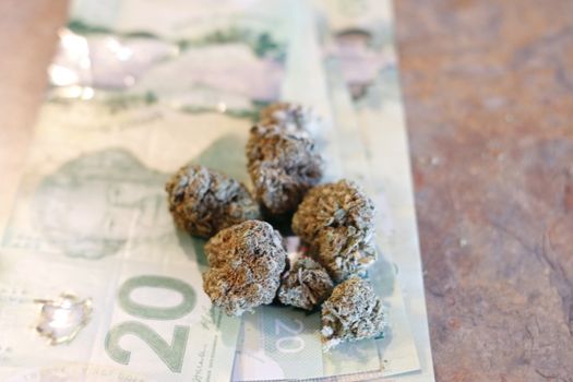 marijuana and canadian twenty dollar bills. Concept of marijuana and economy.