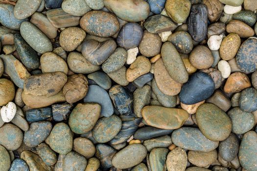 Closeup shot of stone or pebble at the sea.