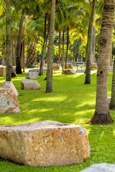 Scene of tranquil and calm park in late morning.