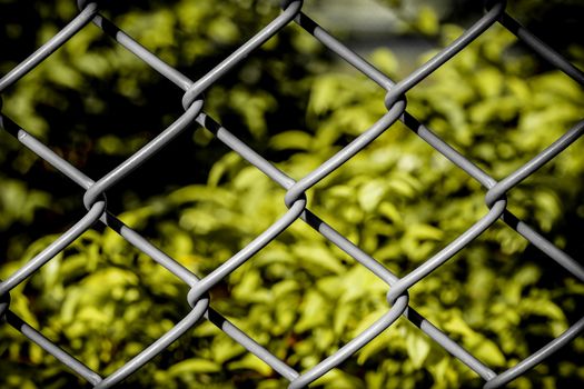 Wire metal fence illustrating freedom concept.