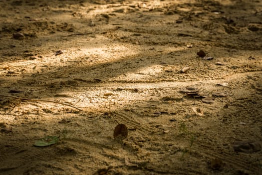 Sand texture close-up to reveal tiny details.