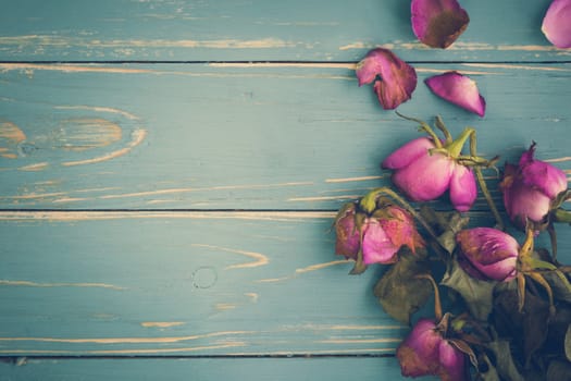 Withered and dried rose flower illustrating sadness concept.