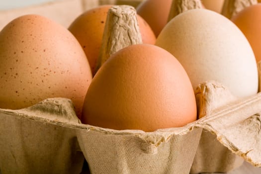 Group of fresh chicken eggs in a box.