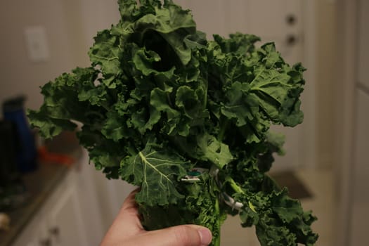 Kale. Green vegetable leaves, top view on white plate, healthy eating, vegetarian food..