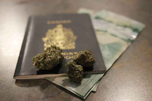 Growing and consuming marijuana in Canada . World Marijuana Importer 2019n. Growing and consuming marijuana in Canada . World Marijuana exporter in 2019