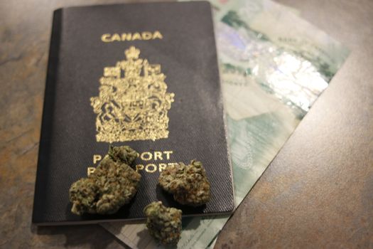 Growing and consuming marijuana in Canada . World Marijuana Importer 2019n. Growing and consuming marijuana in Canada . World Marijuana exporter in 2019