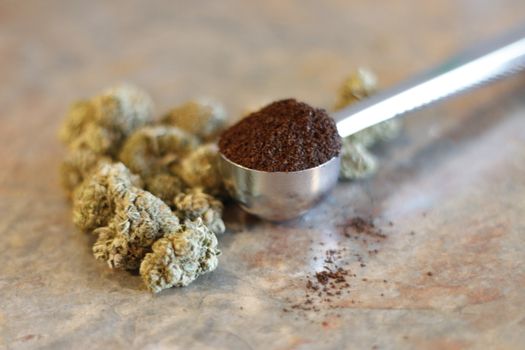 A scoop of coffee next to marijuana buds. Concept of cannabis infused products