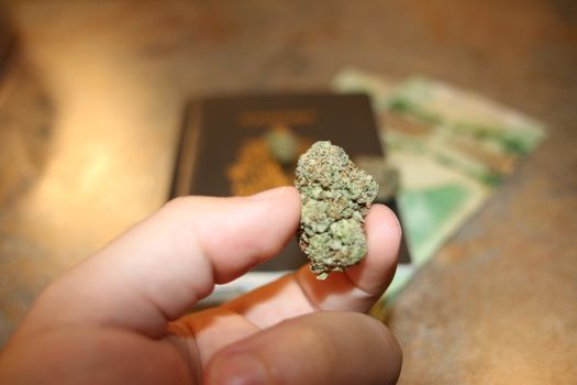 Hand holding cannabis bud agains trail and blue sky landscape - medical marijuana concept.